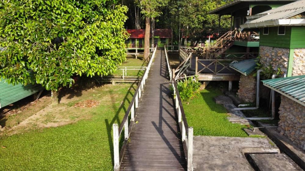 ซูเกา กรีนวิว เบ้ด แอนด์ เบคฟราสต์ Bed & Breakfast Sukau ภายนอก รูปภาพ